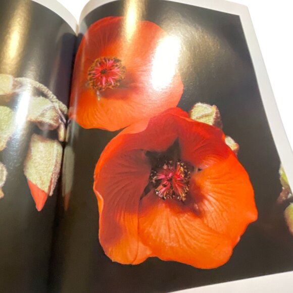 1989 Audubon Nature Yearbook By Les Line Editor Hardcover Book - Picture 6 of 8